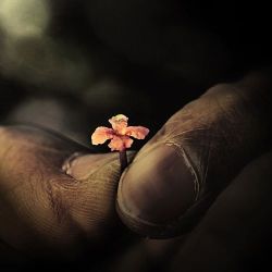 4a0218a202b5249ee2823c0d3df0e687